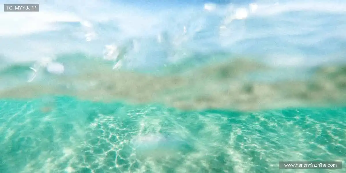 🛒球迷专属,热血助威!🎯球星同款,点燃你的热爱!